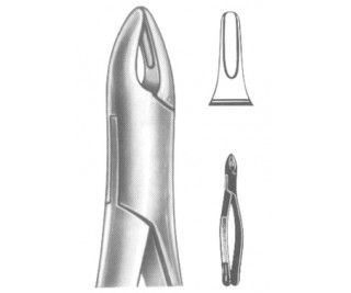 Extracting Forceps American pattern